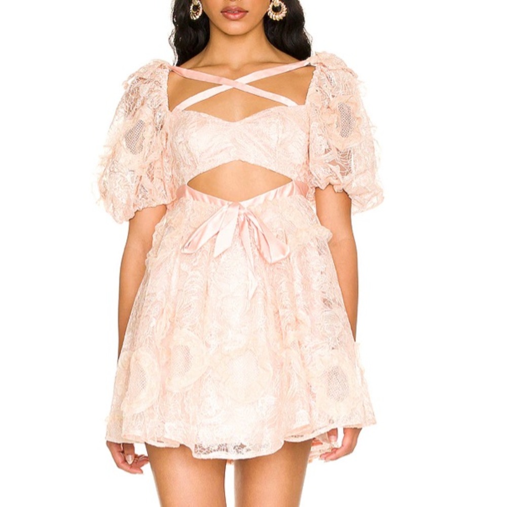For Love and Lemons Dress